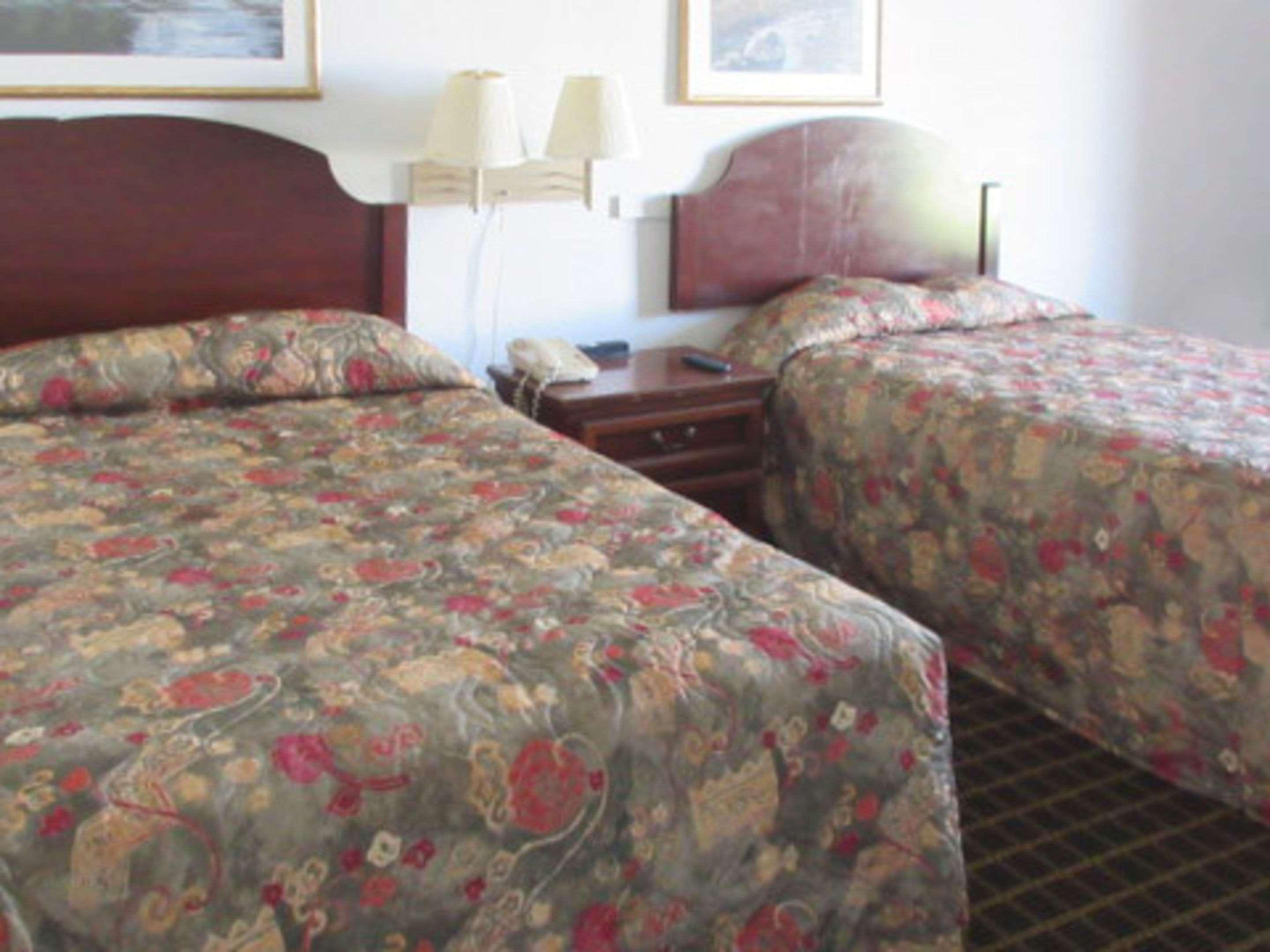 Econo Lodge Inn & Suites Orangeburg Exterior foto